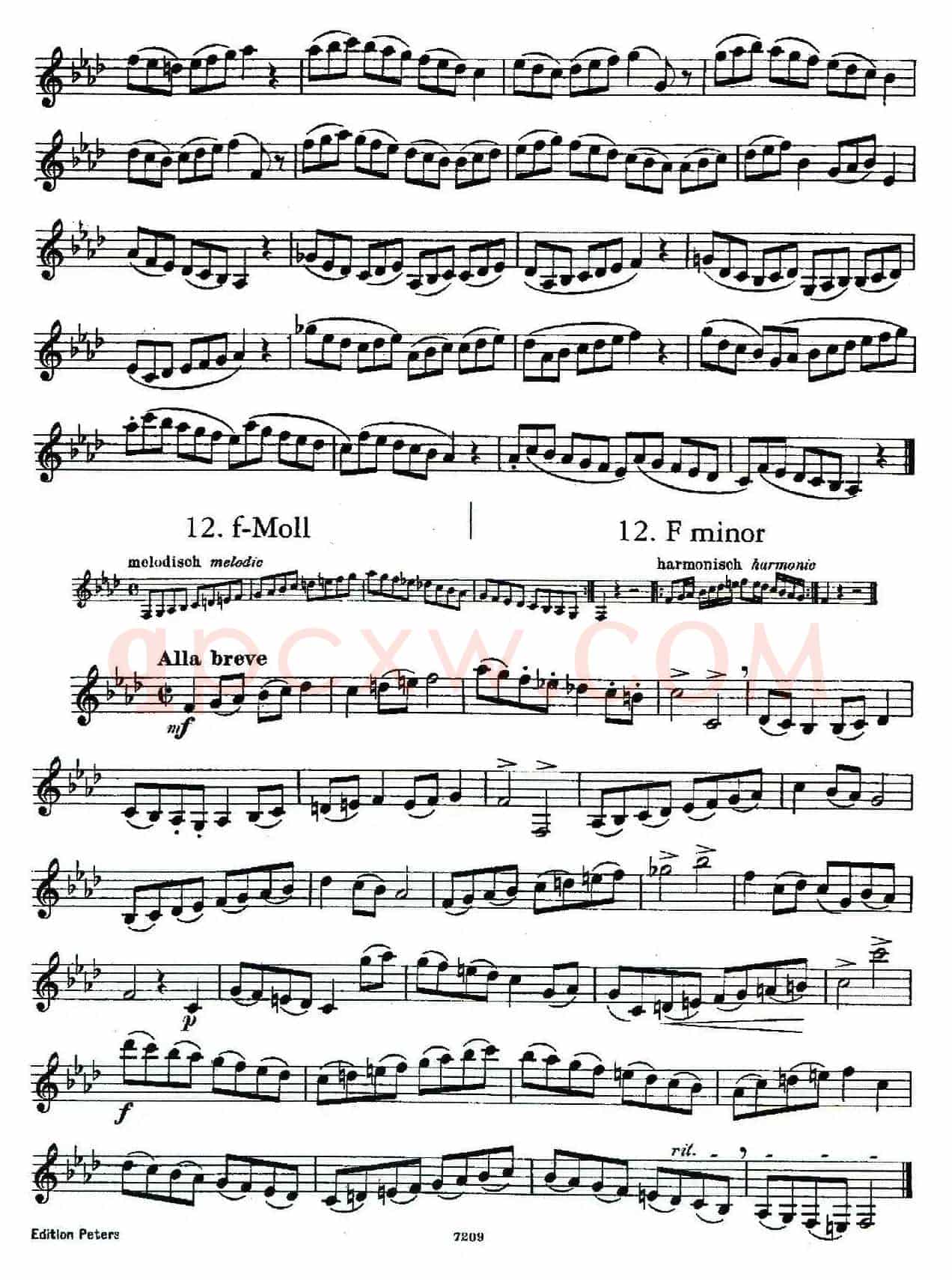 DEMNITZ（单簧管练习曲）