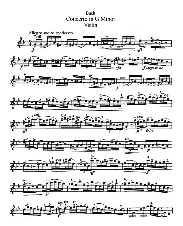 Concerto in G Minor（G小调协奏曲）