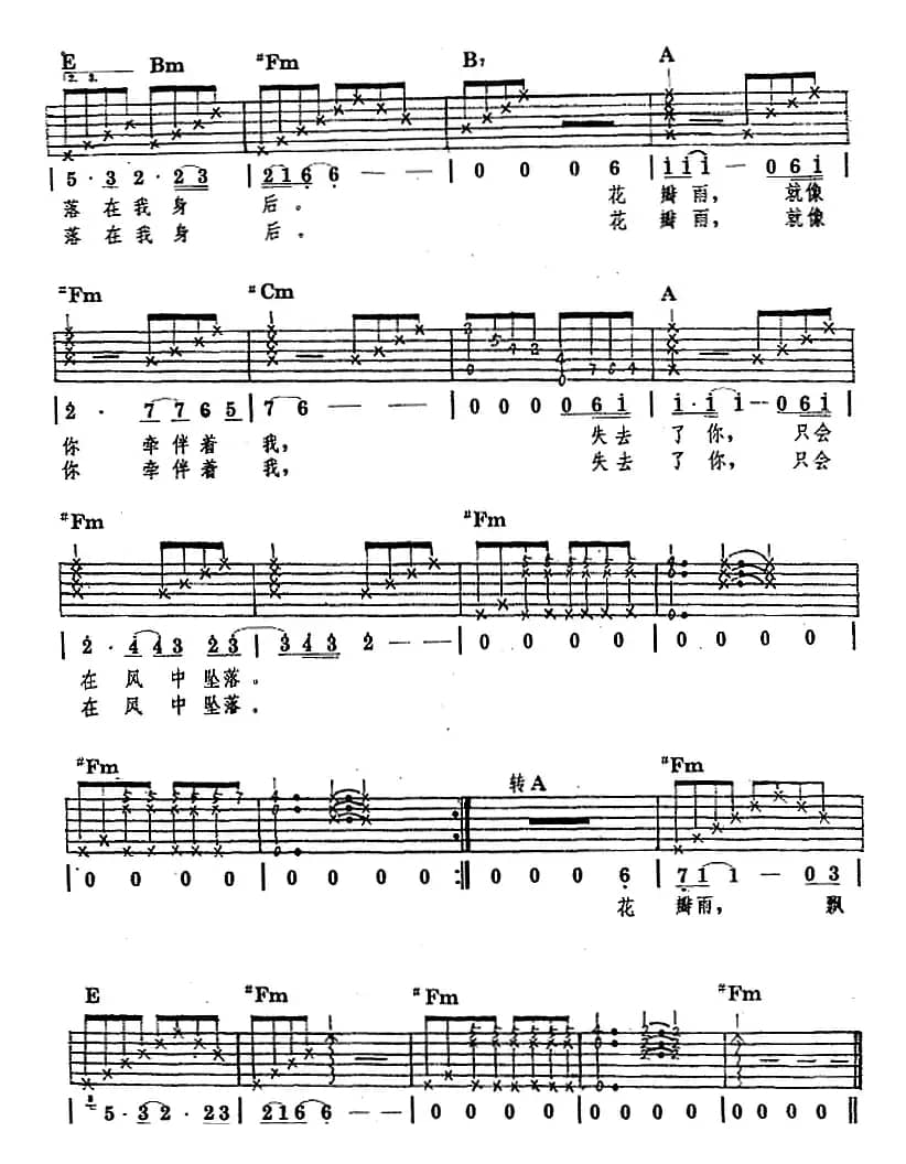 民族吉他弹唱：花瓣雨