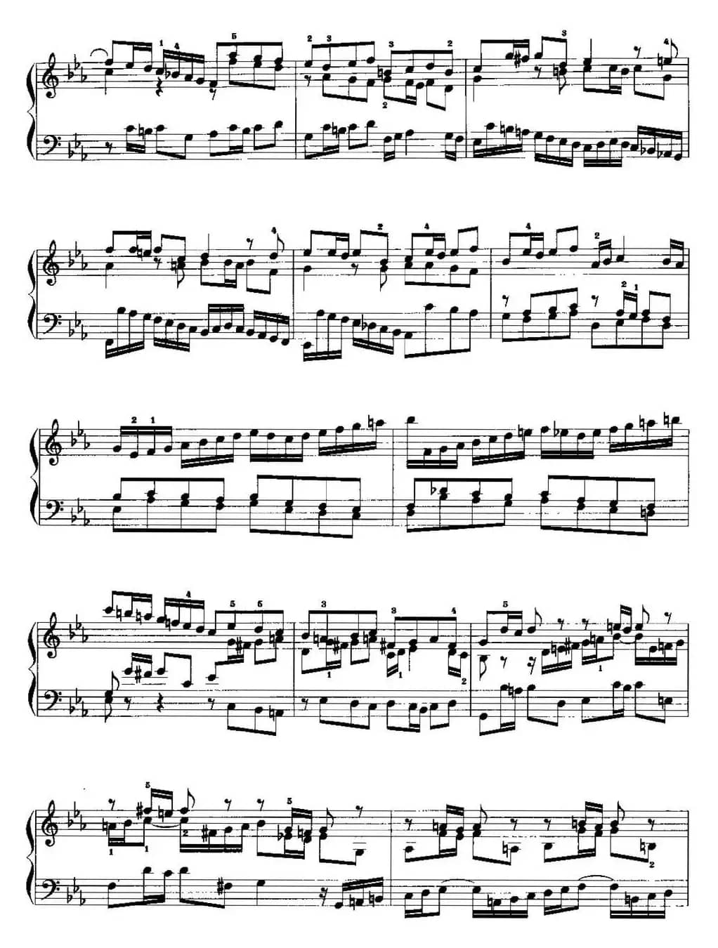 手风琴复调作品：c小调前奏曲与赋格