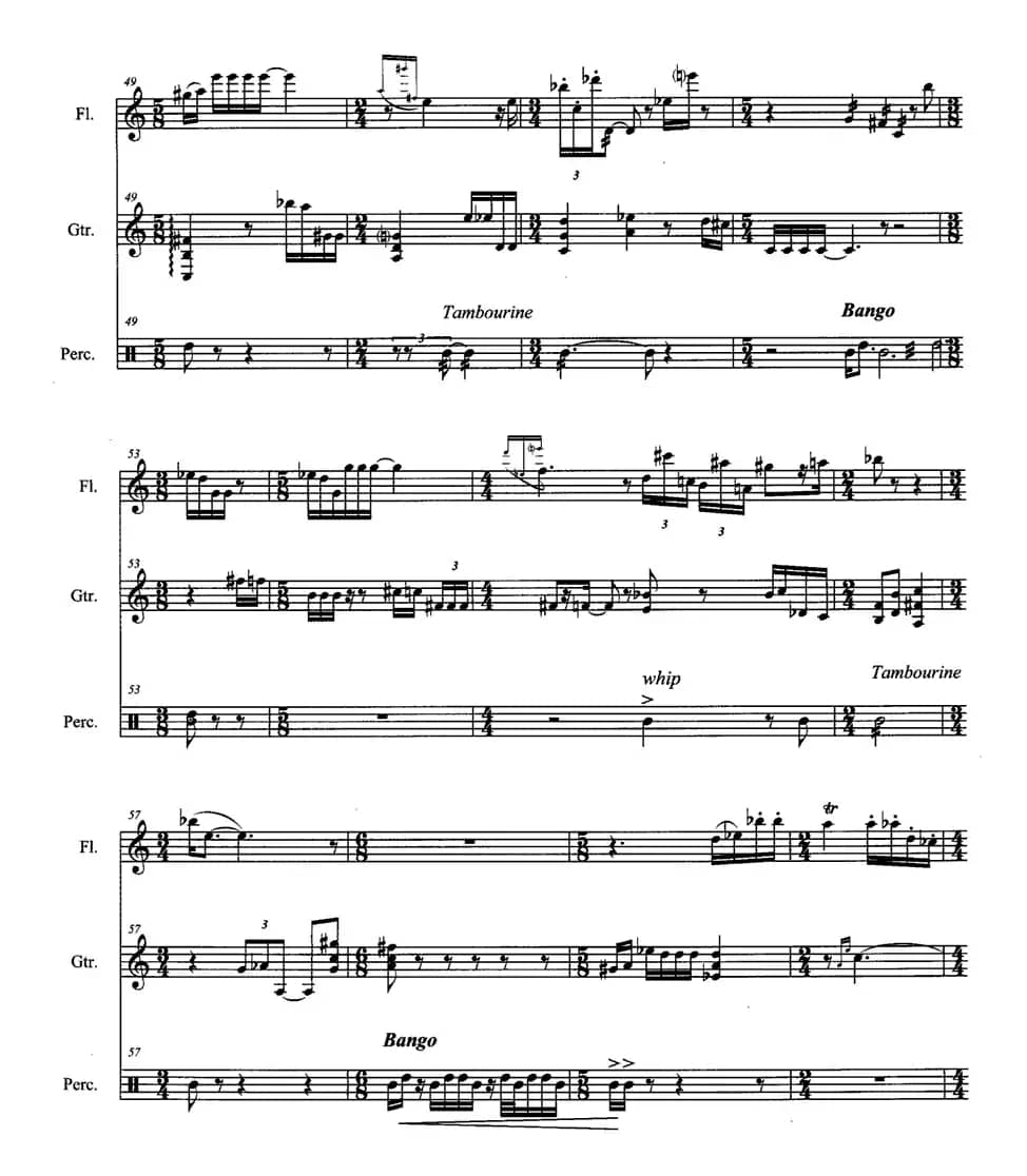 人生无根蒂（长笛+吉它+打击乐）