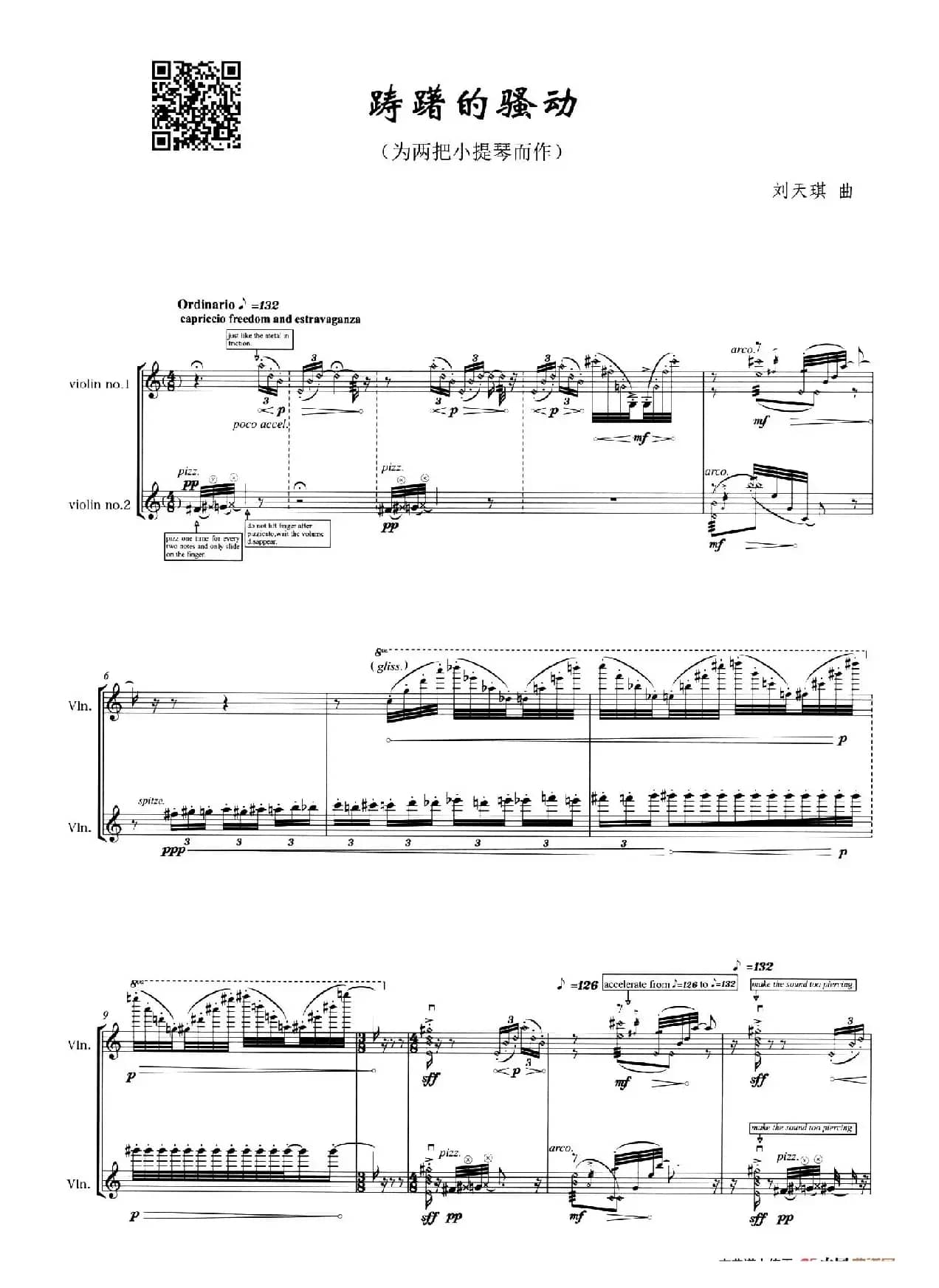 踌躇的骚动（小提琴二重奏）