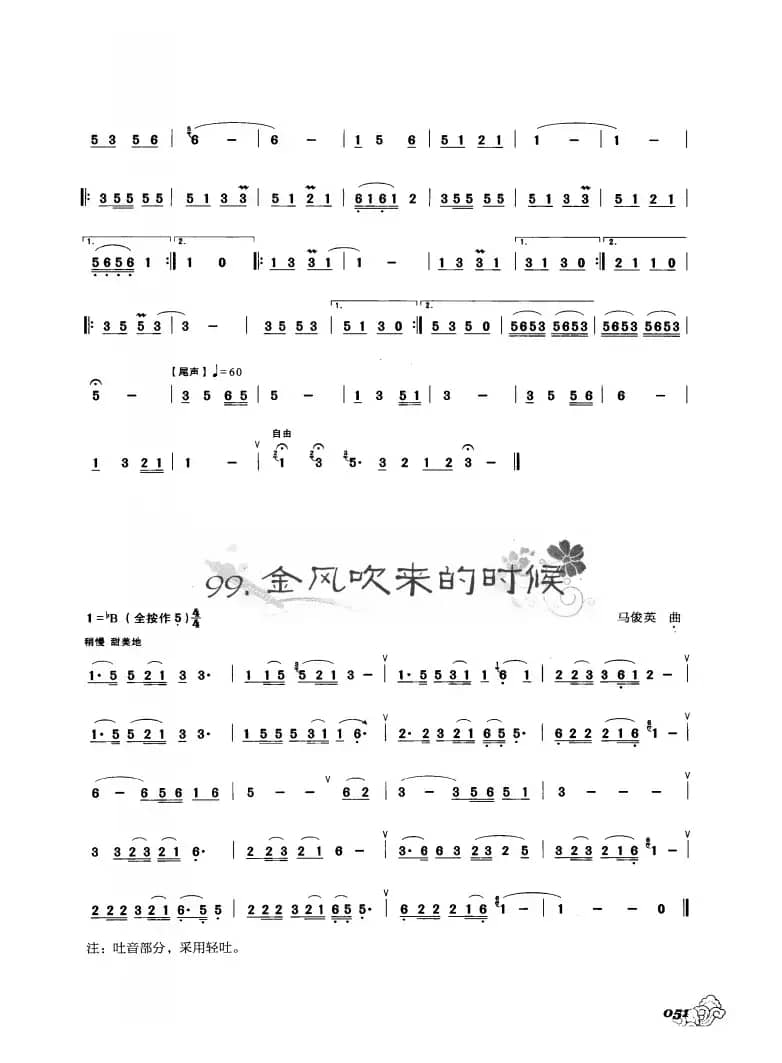 葫芦丝曲精选：金孔雀与凤尾竹  金风吹来的时候 