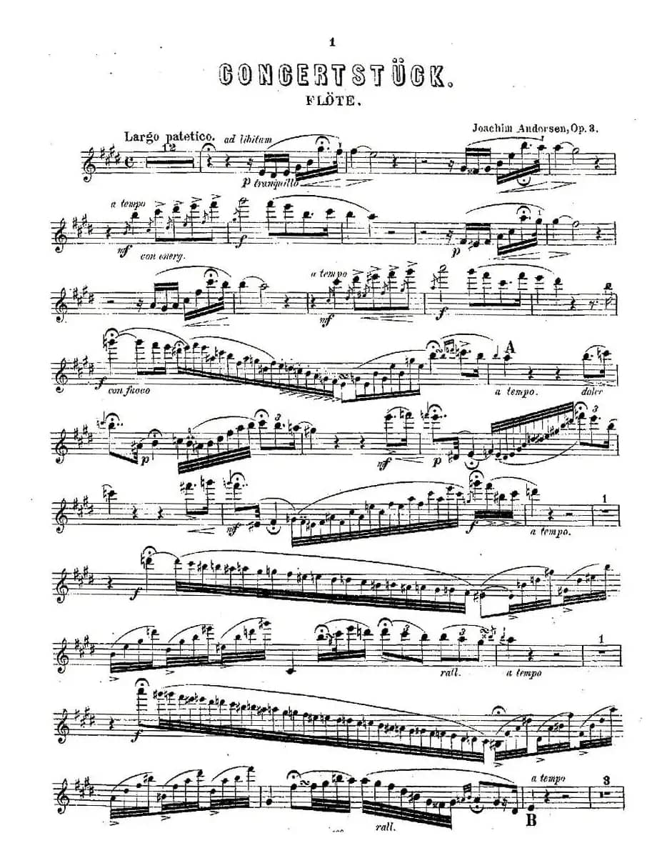 Concertstück . Op. 3. - flute part only