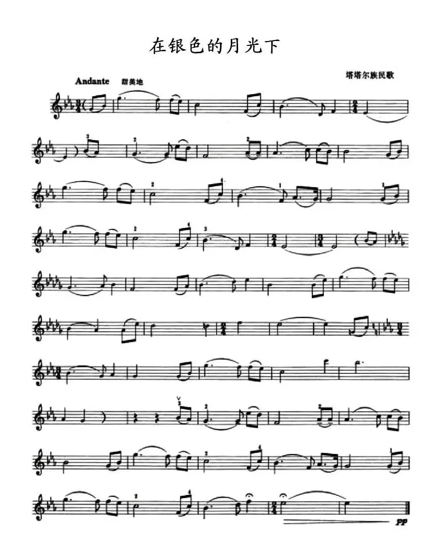 在银色的月光下