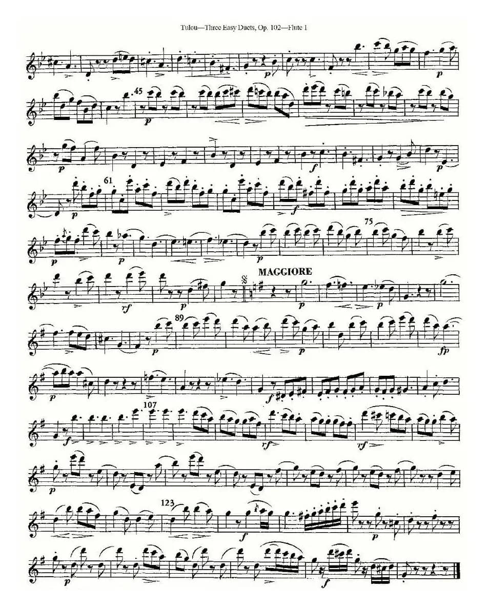 Three Easy Duets,Op.102 之第一长笛（三首简易重奏曲作品102号）