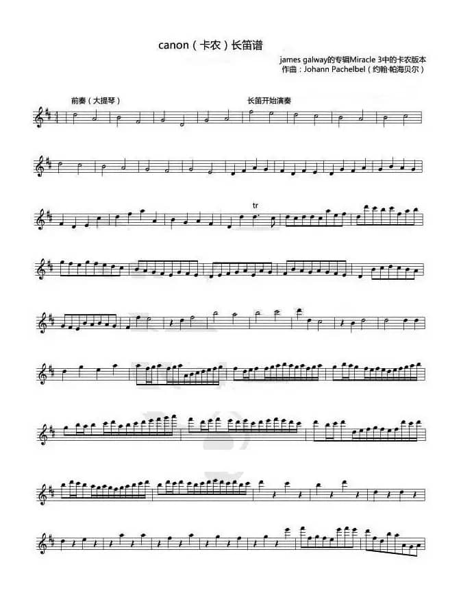 卡农（长笛独奏完整版）