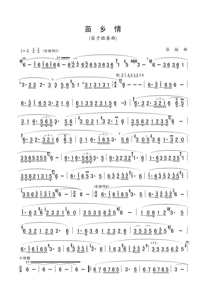 苗乡情（笛子独奏）