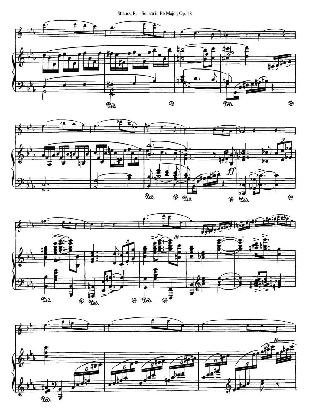 Violin Sonata in Eb Major Op.18（小提琴+钢琴伴奏）