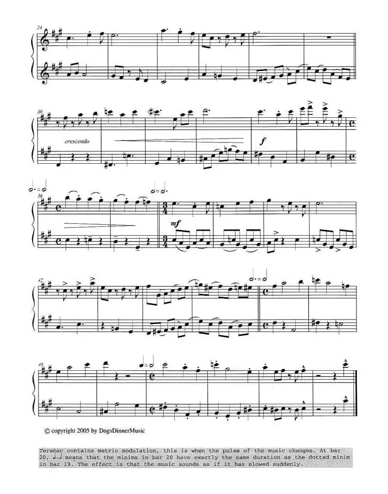 Terebac（二重奏）