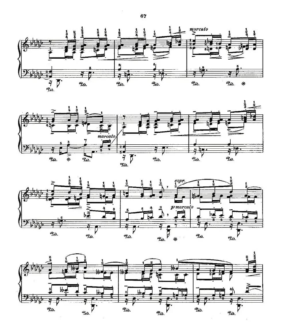 肖邦《练习曲》Fr.Chopin Op.25 No9-2