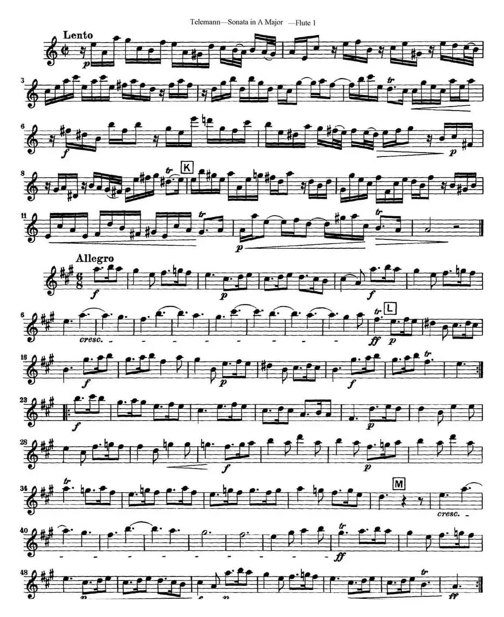 台莱曼A大调双长笛与钢琴奏鸣曲