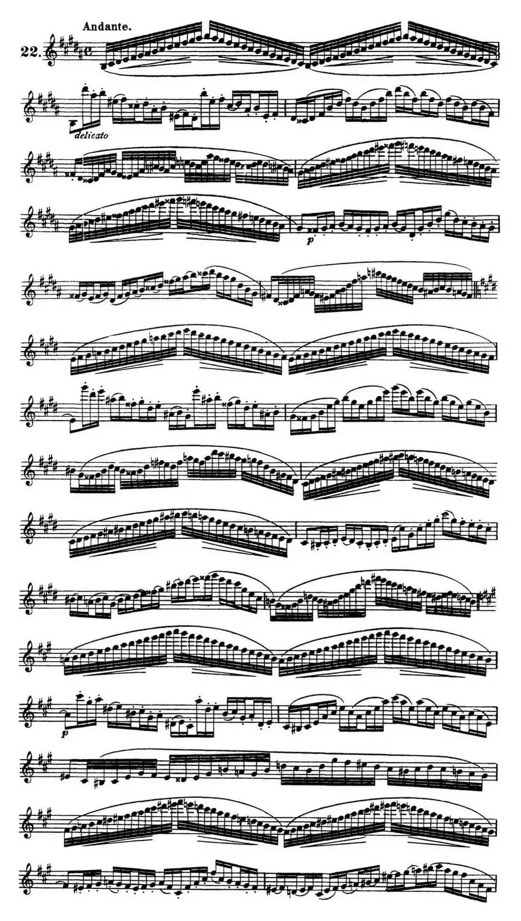 柯勒30首高级长笛练习曲作品75号（NO.22）