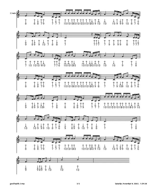 身体健康（布鲁斯）