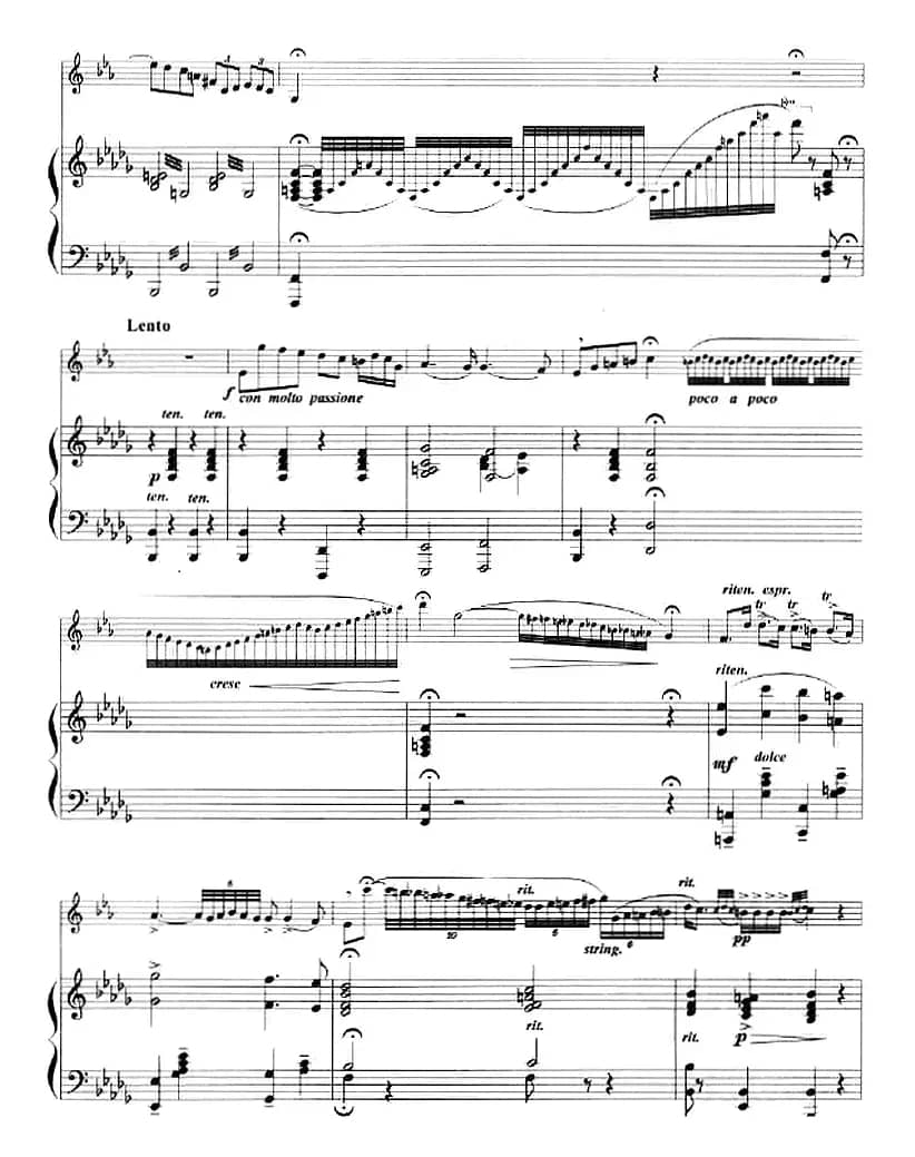 吉卜赛之歌（小号+钢琴伴奏）