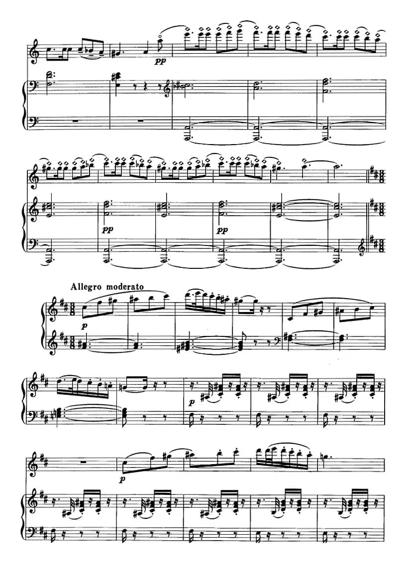 卡门主题幻想曲（二胡+钢琴伴奏）