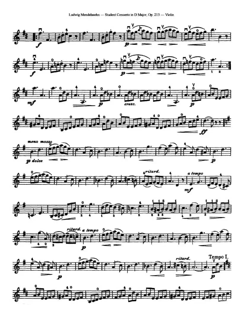 Student Concerto in D Major