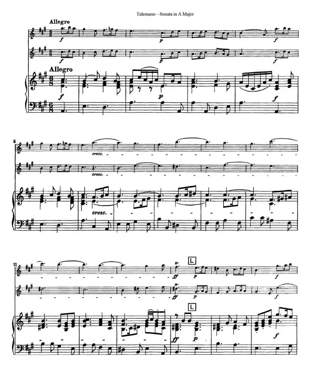 台莱曼A大调双长笛与钢琴奏鸣曲