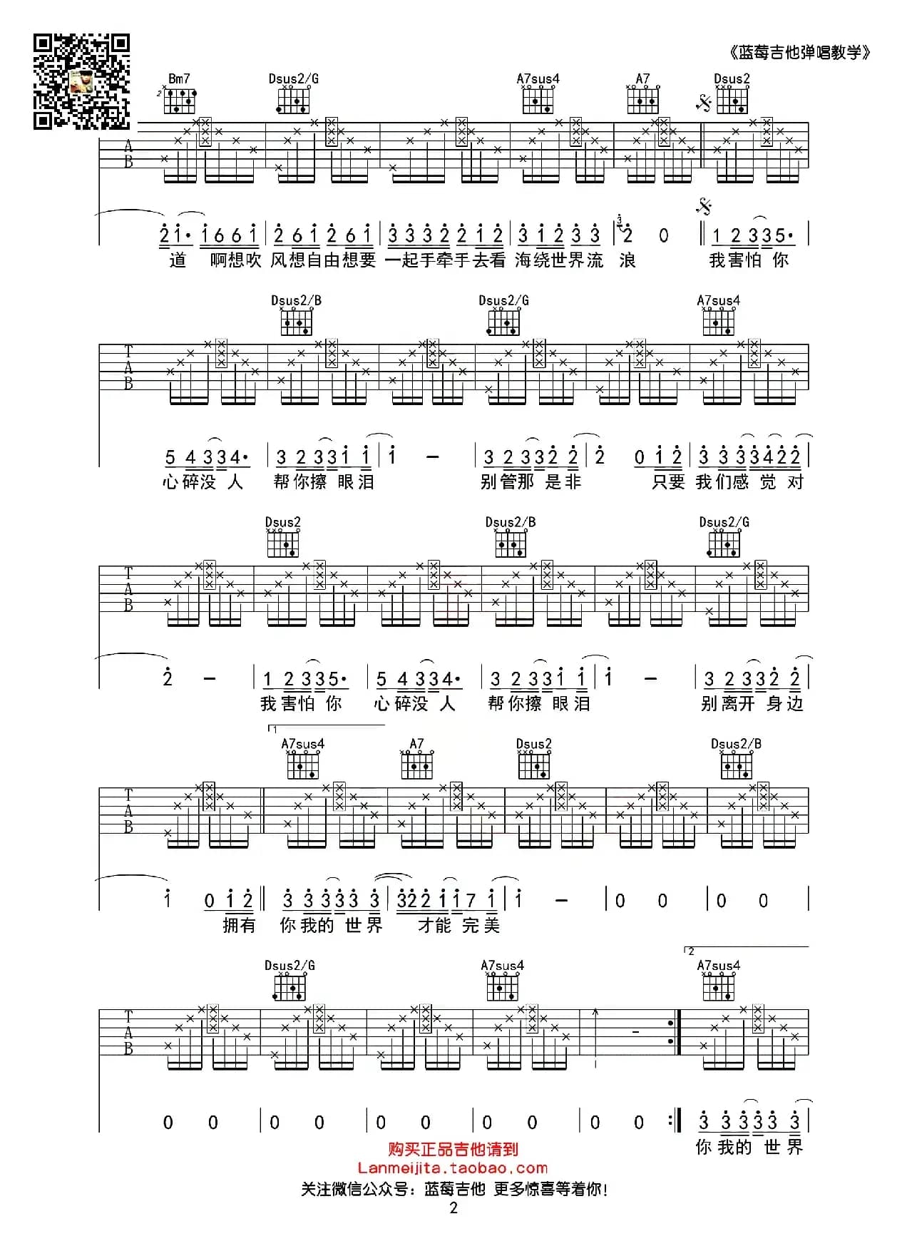 暗号（D调蓝莓吉他弹唱教学版）