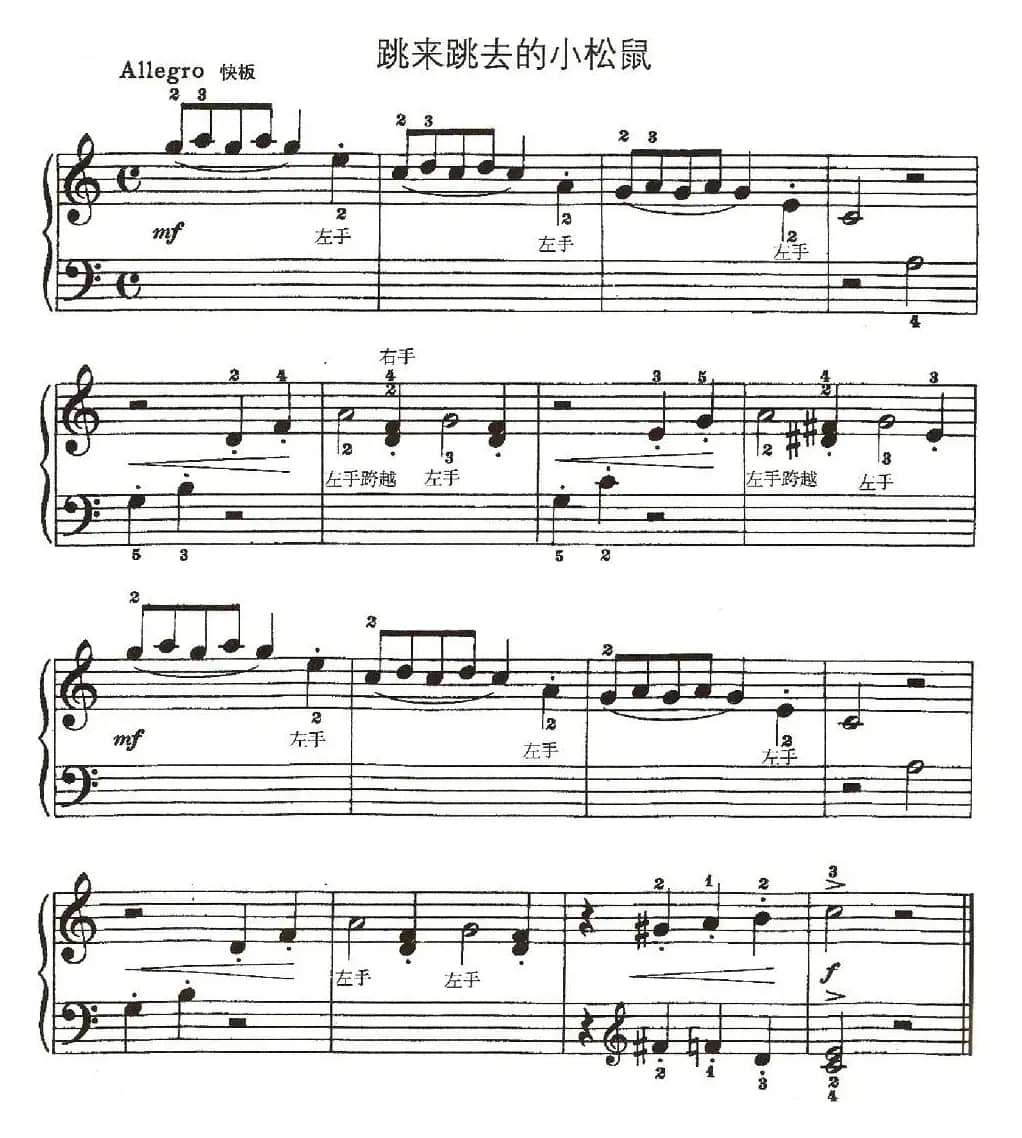 跳来跳去的小松鼠