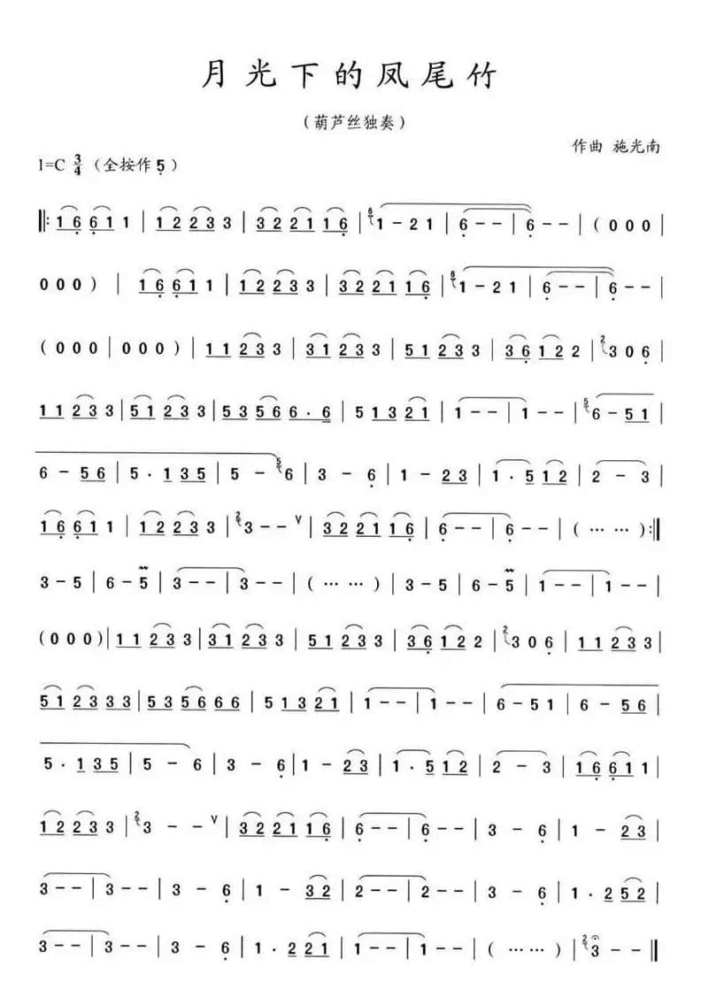 月光下的凤尾竹