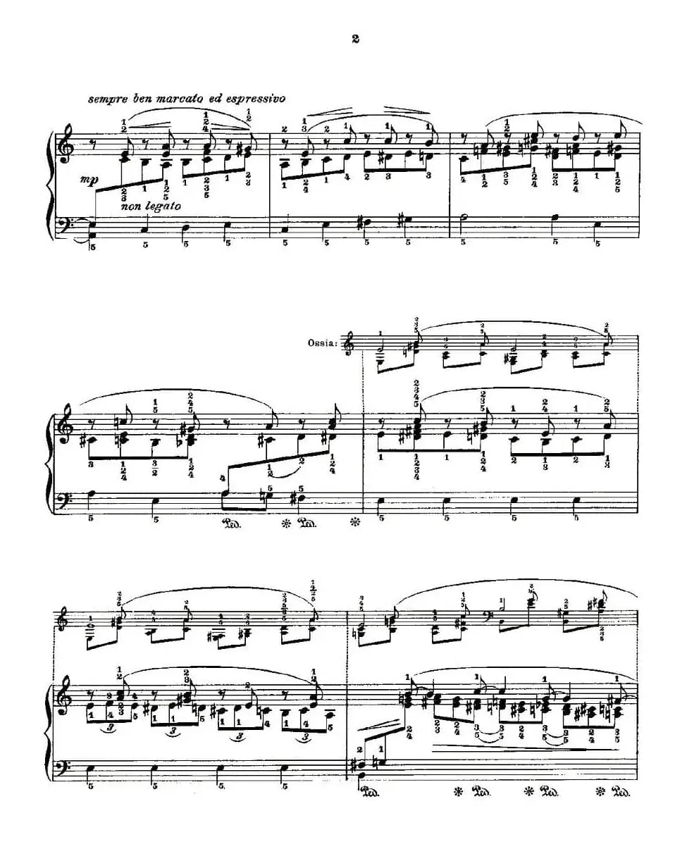 肖邦《练习曲》Fr.Chopin Op.25 No4-1