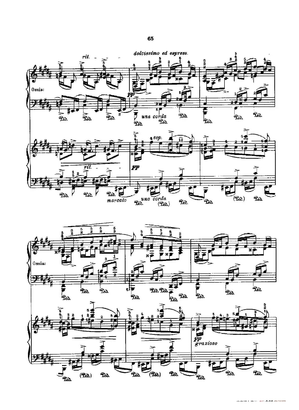 53首以肖邦练习曲为素材而作的练习曲（No.29）