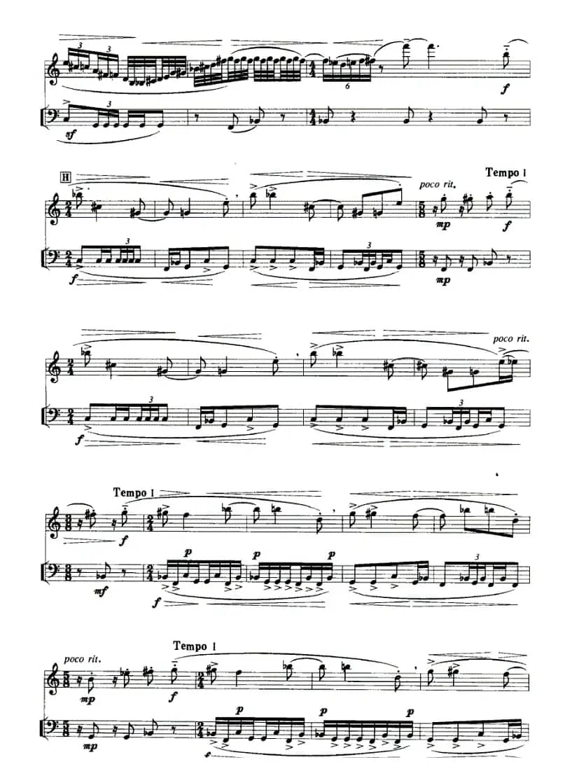 宠物日记（单簧管+定音鼓）