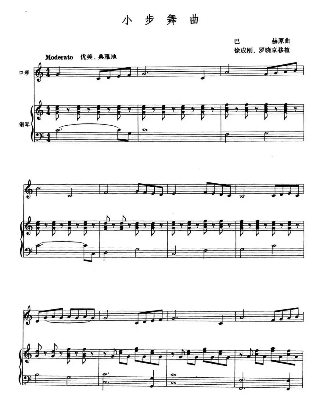 小步舞曲（徐成刚 罗晓京移植）