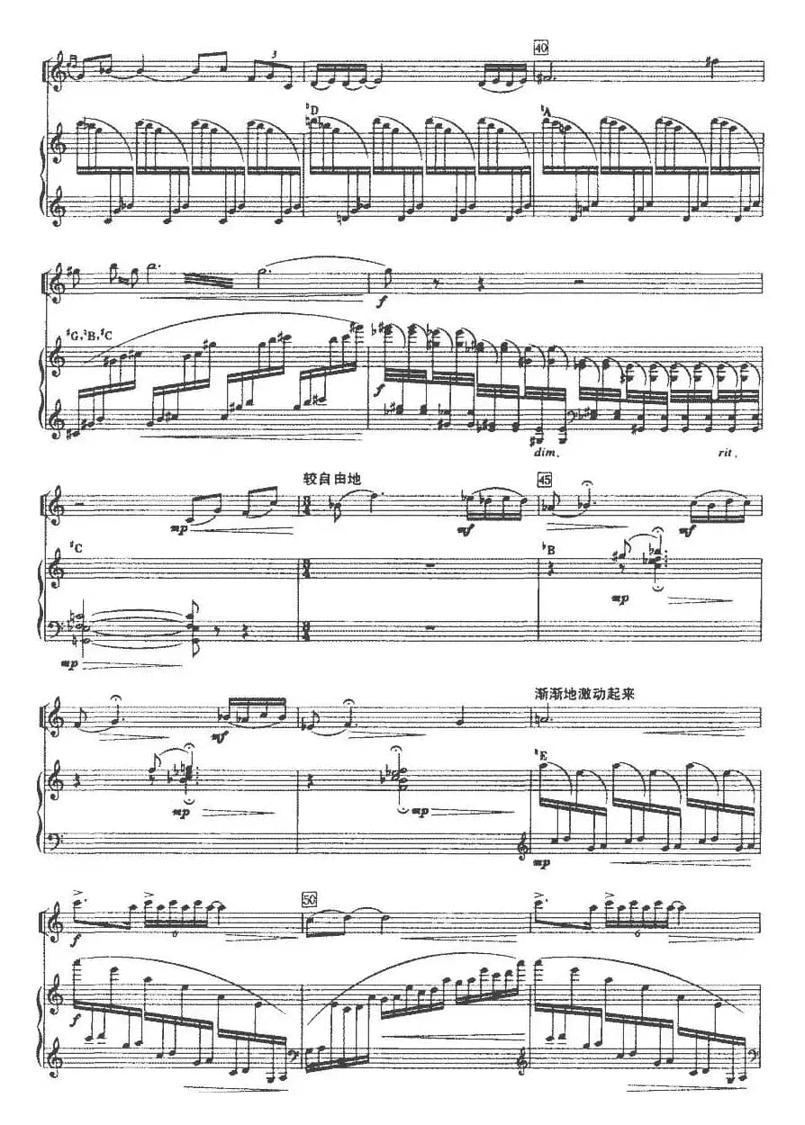 秋之韵（二胡+竖琴）