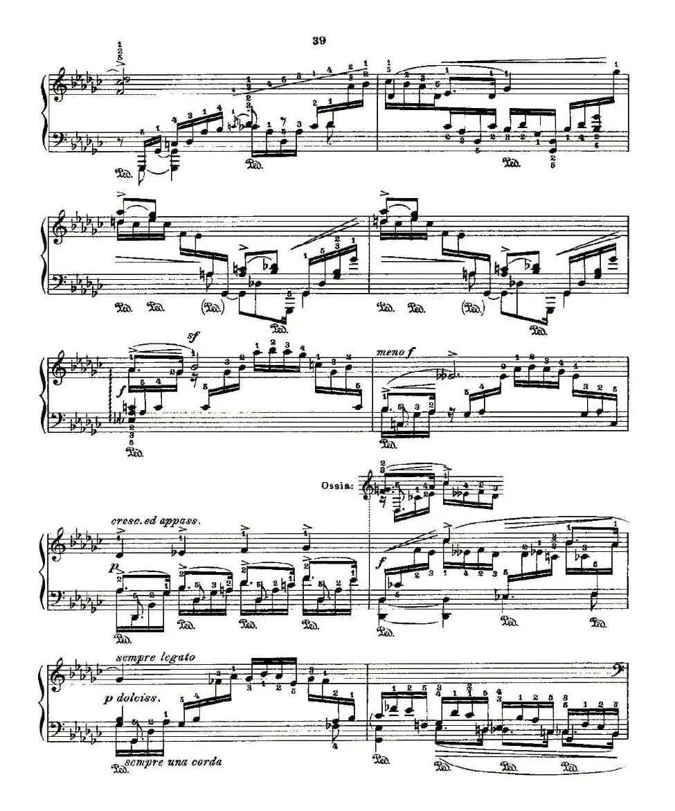 肖邦《练习曲》Fr.Chopin Op.10 No8-2