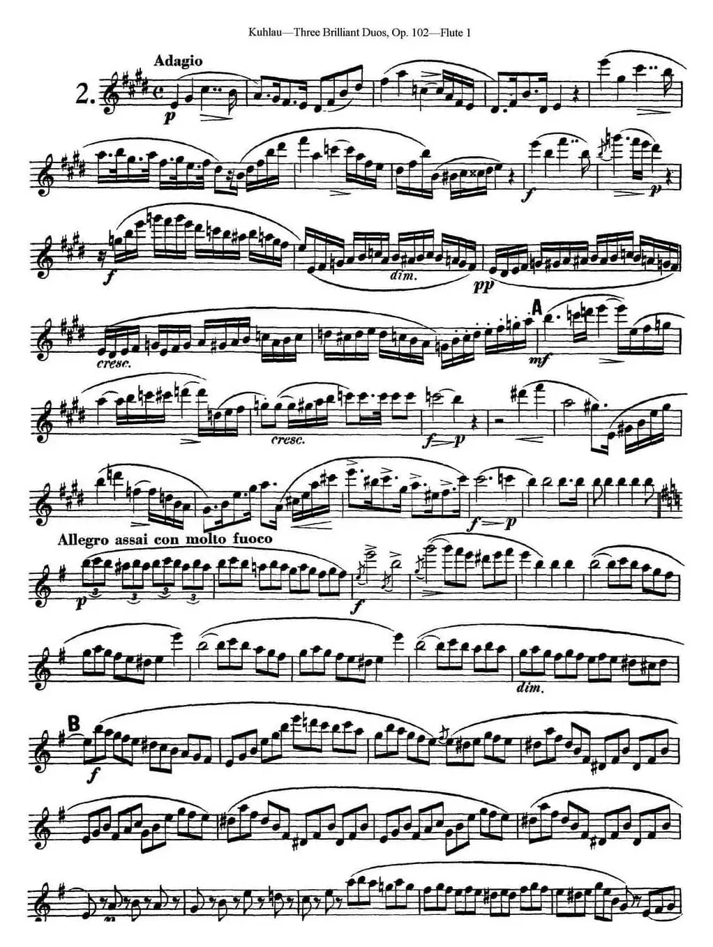 库劳长笛二重奏练习三段OP.102——Flute 1（NO.2）