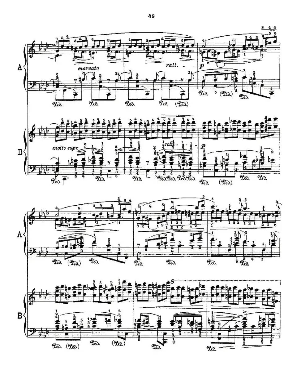 肖邦《练习曲》Fr.Chopin Op.25 No2-3