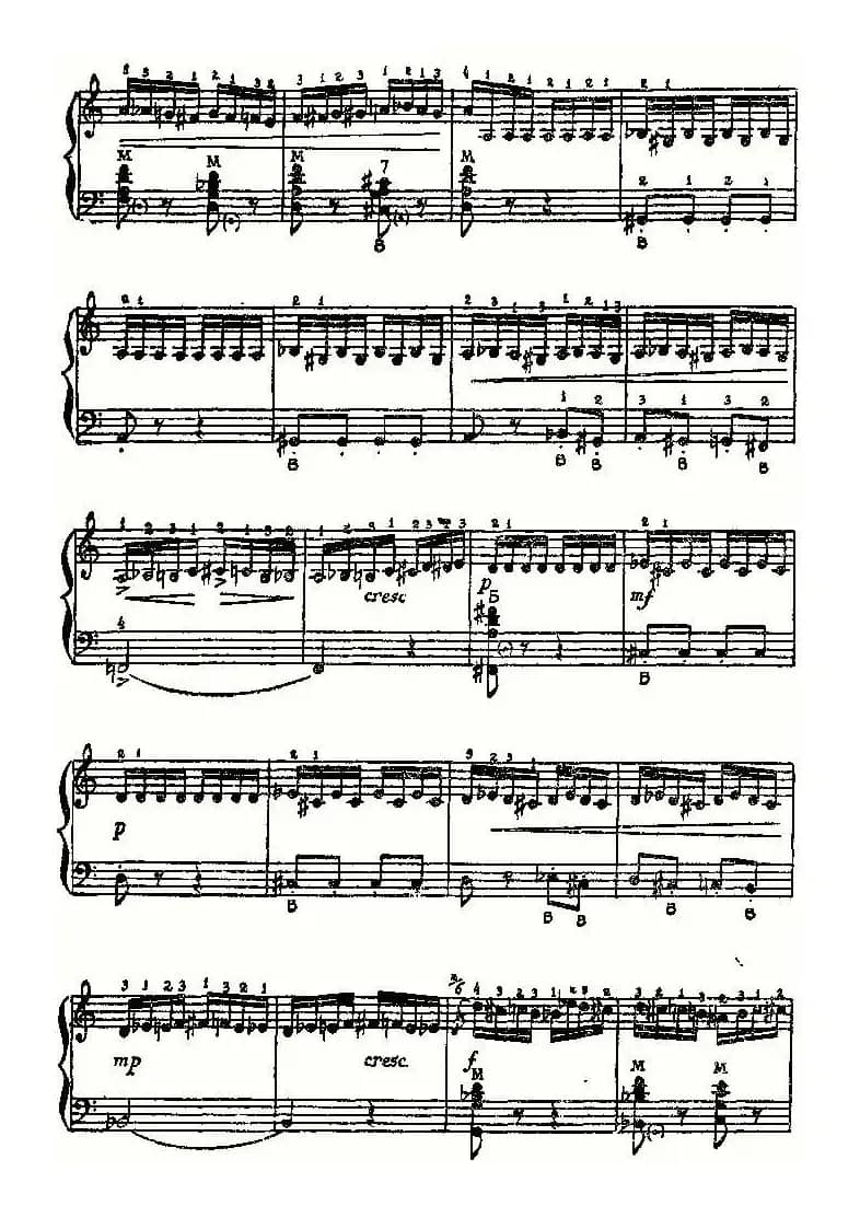 野蜂飞舞（俄罗斯原版谱）