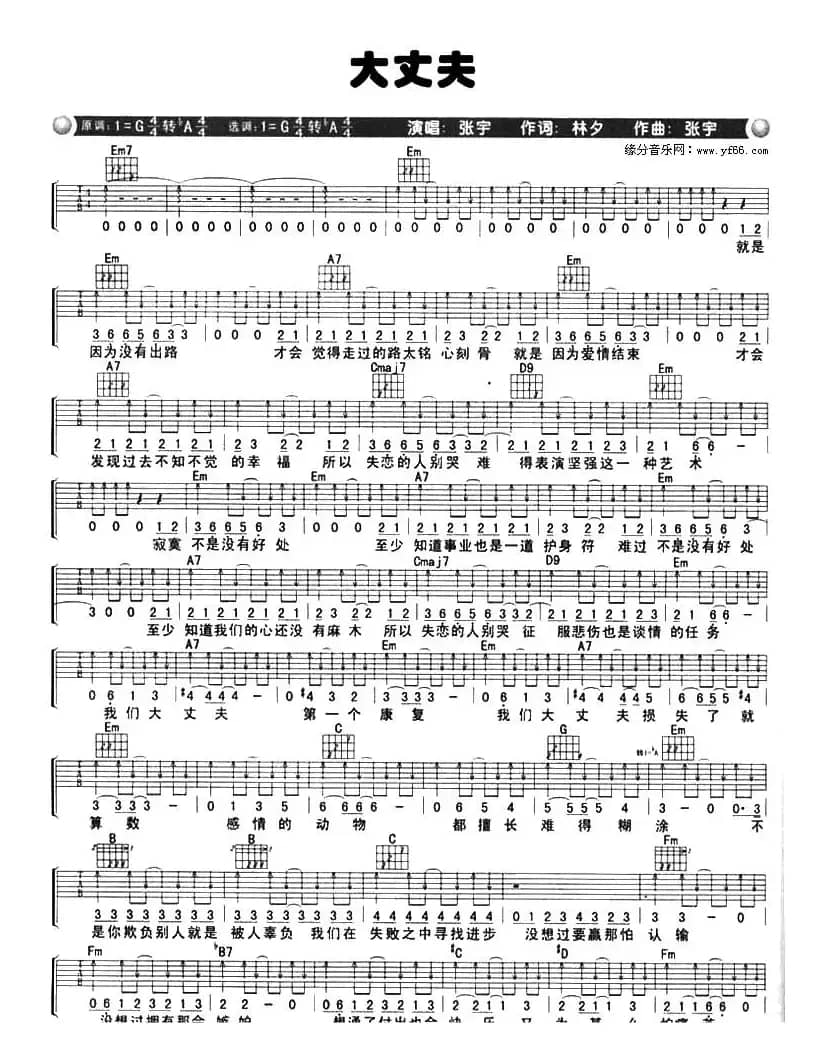 大丈夫（林夕词 张宇曲）