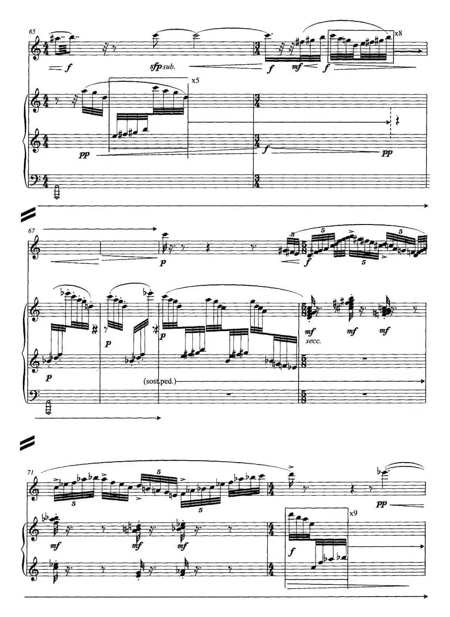 翔舞于无极之野（竹笛+钢琴）