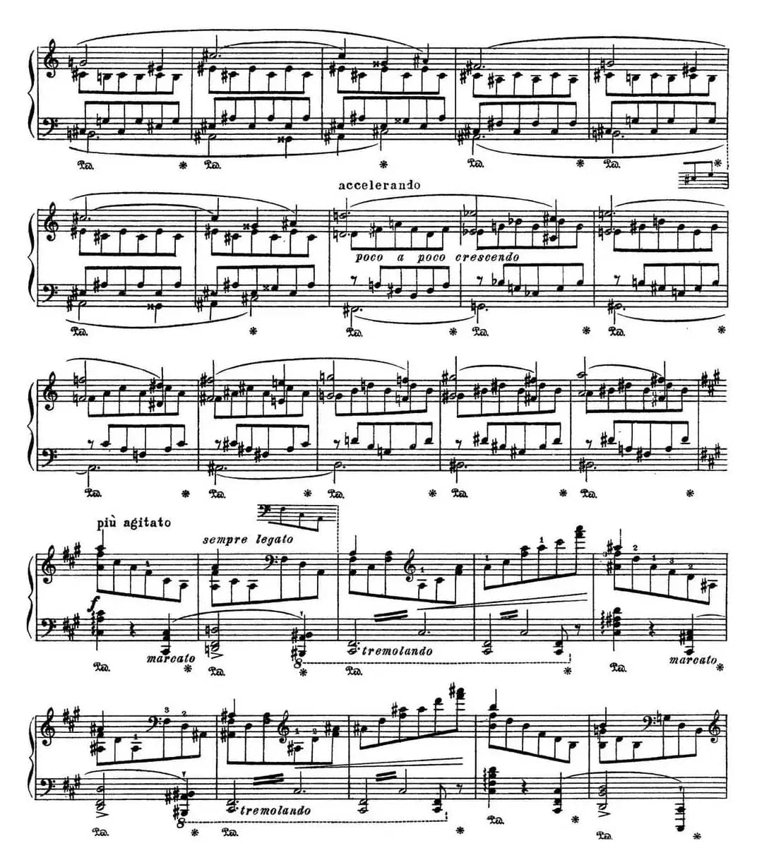 李斯特 旅游岁月 第三集 S.163 No.2 艾斯特庄园的绿柏1