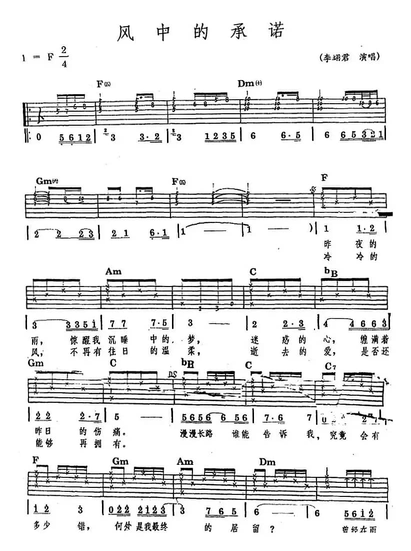 民族吉他弹唱：风中的承诺