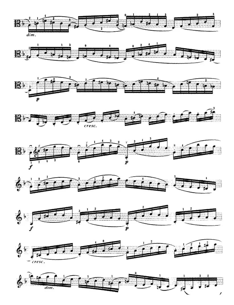 变音体系幻想曲（中提琴）