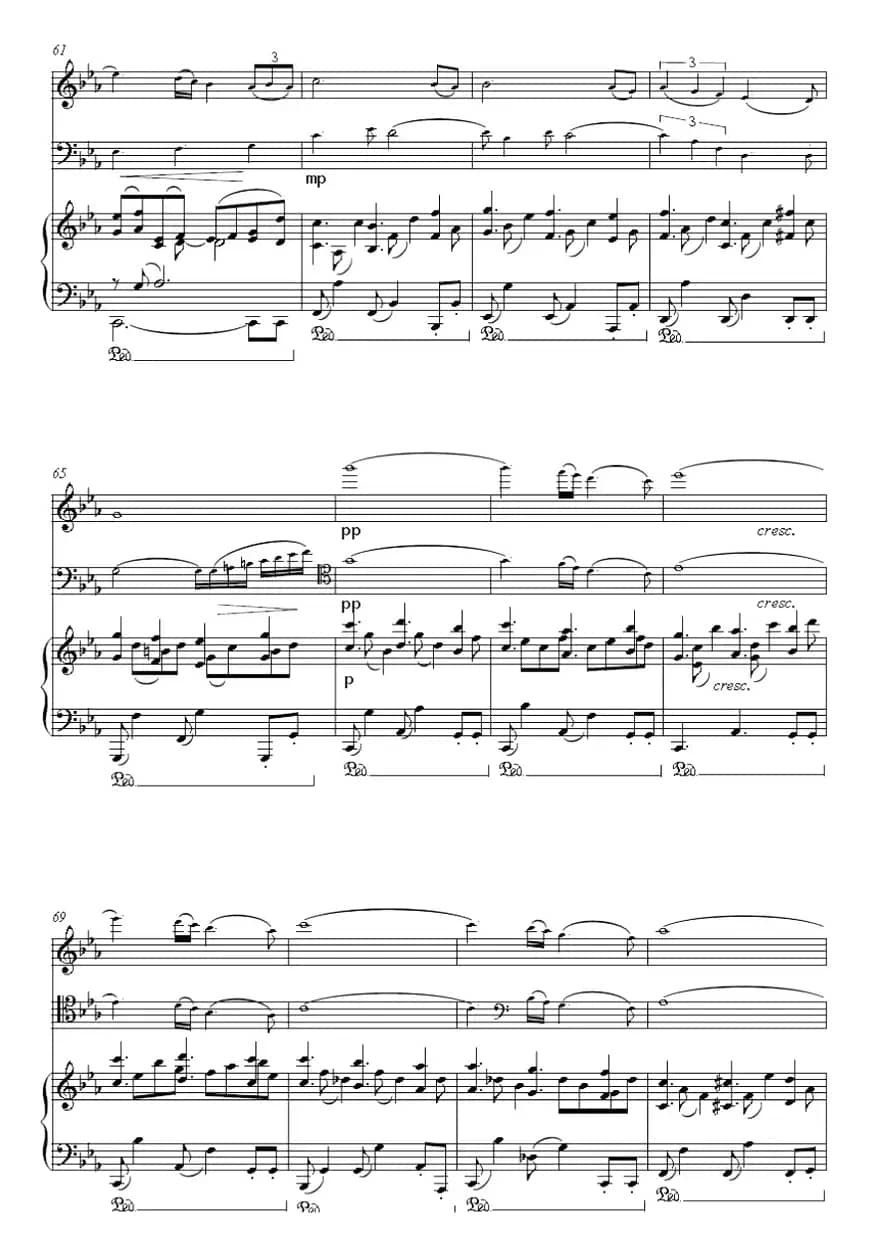 Oblivion 遗忘（小提琴+大提琴+钢琴伴奏）