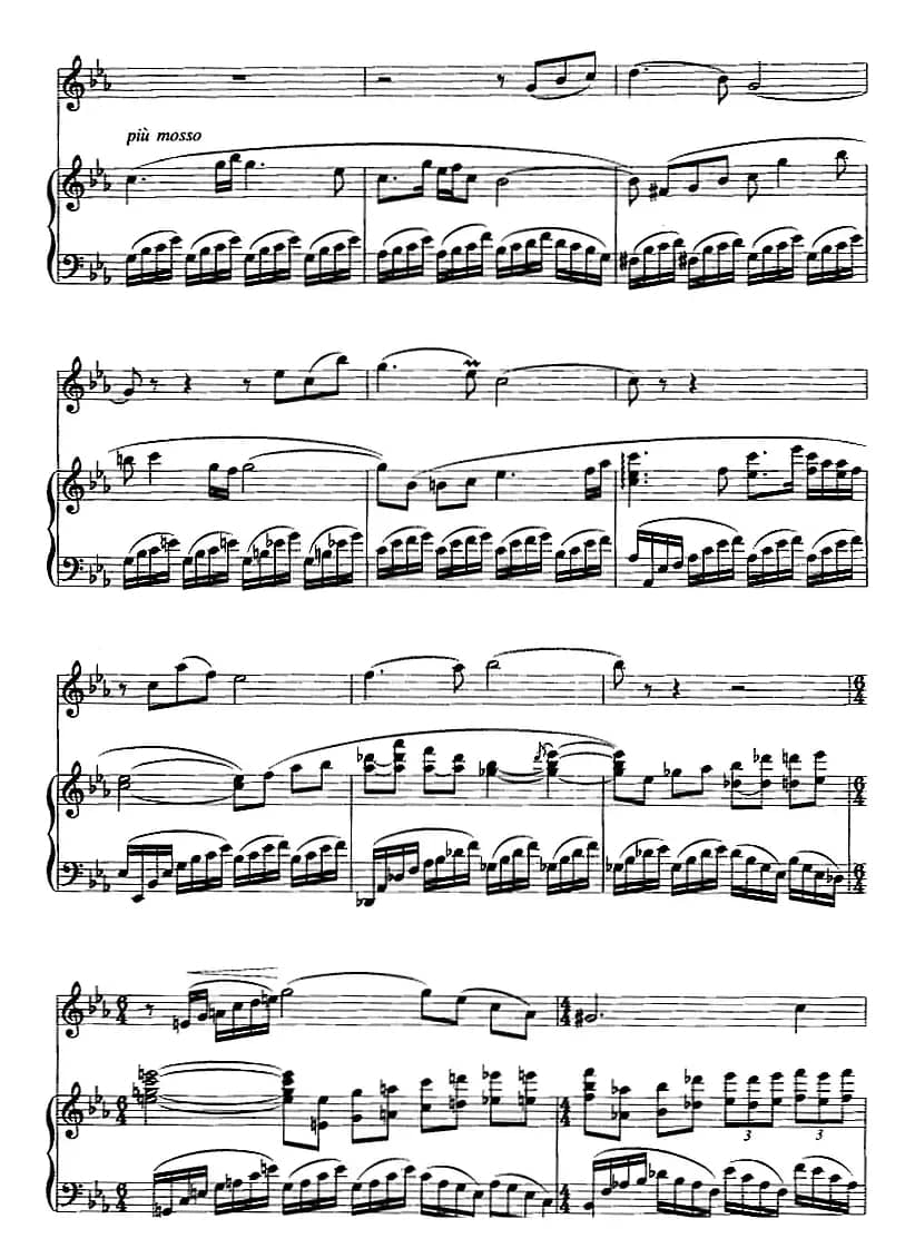 第二二胡狂想曲（二胡+钢琴伴奏）