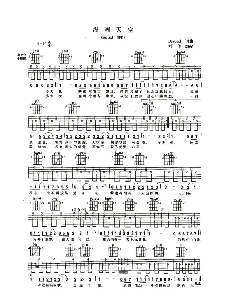 海阔天空（刘传编配版）