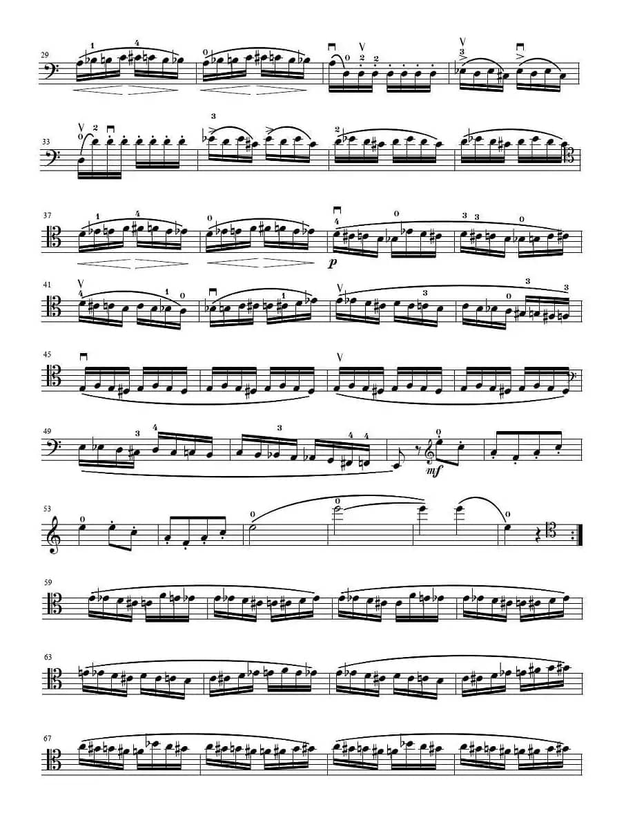 野蜂飞舞（大提琴独奏）