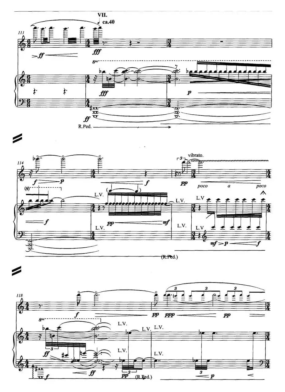 翔舞于无极之野（竹笛+钢琴）