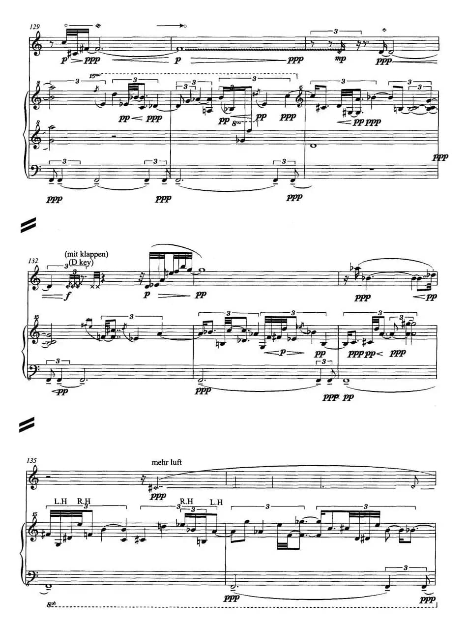 翔舞于无极之野（竹笛+钢琴）