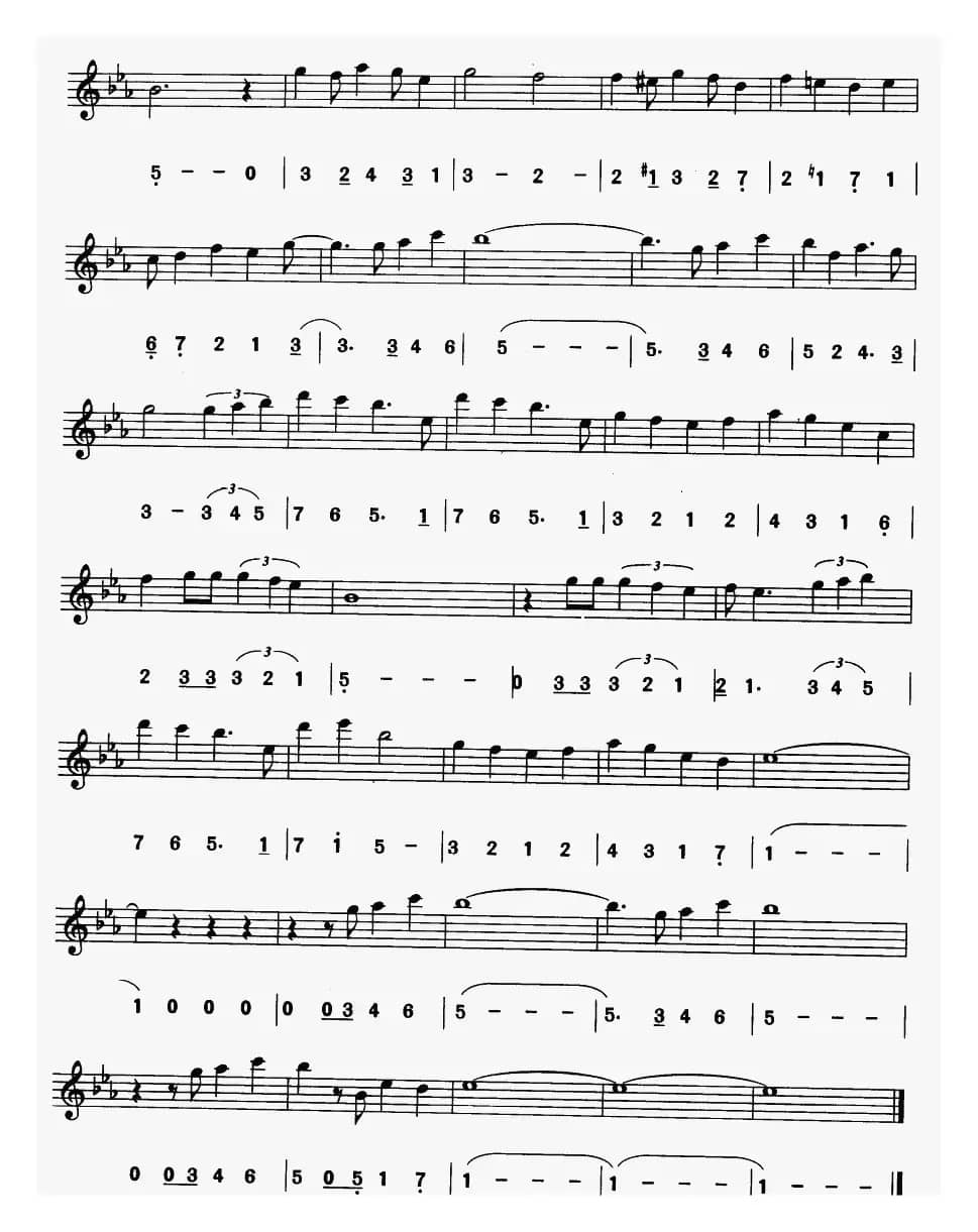 全新的世界（电影《阿拉丁》主题曲）（线简谱对照版）