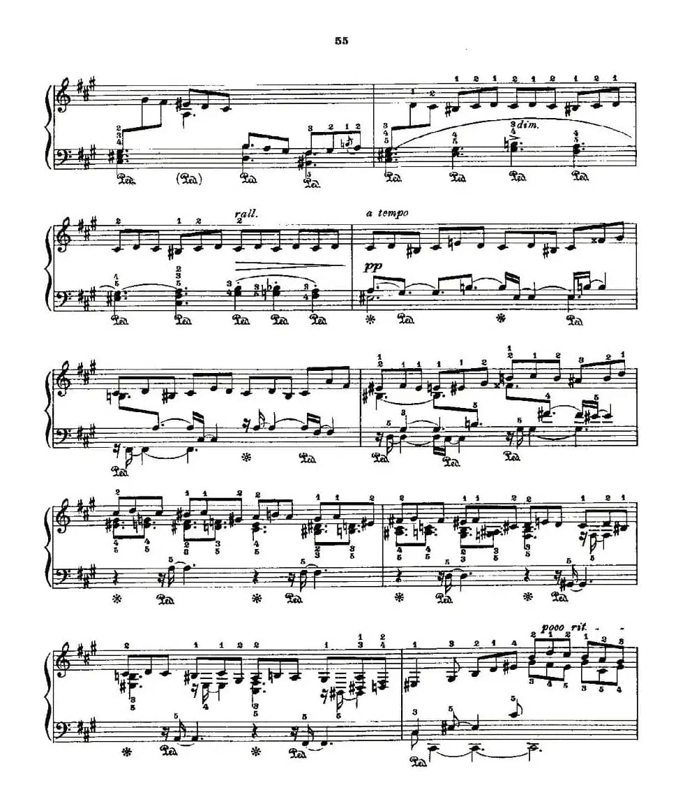 肖邦《练习曲》Fr.Chopin Op.25 No2-4