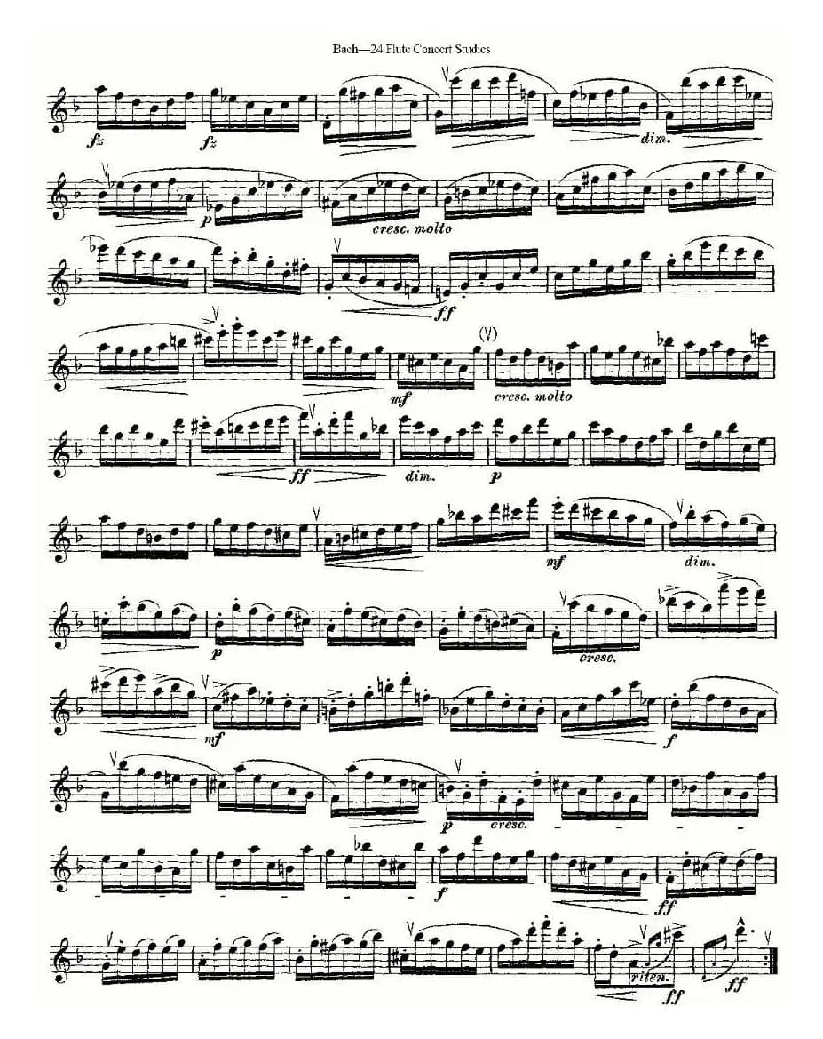 Bach-24 Flutc Concert Studies 之20—24（巴赫—24首长笛音乐会练习曲）