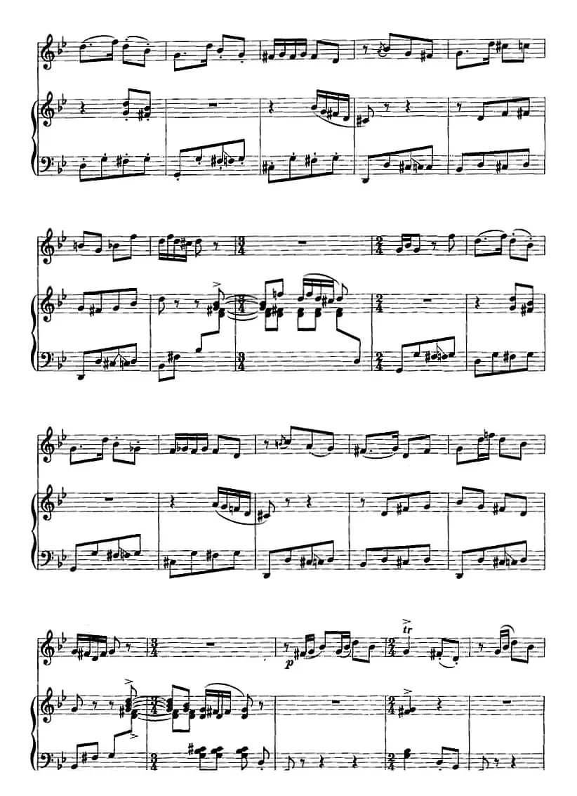 第二二胡狂想曲（二胡+钢琴伴奏）