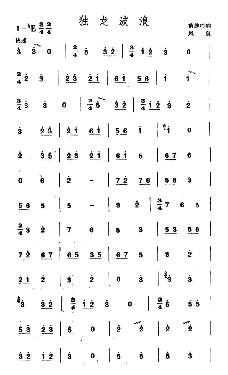 独龙波浪（苗族唢呐）